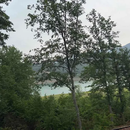 Zavojsko Jezero - Jezero