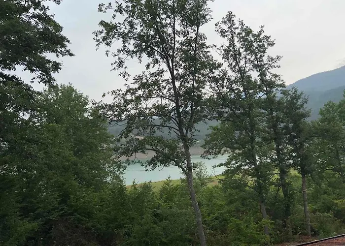 Zavojsko Jezero - Jezero